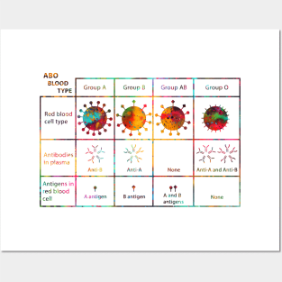 Human ABO Blood Type Posters and Art